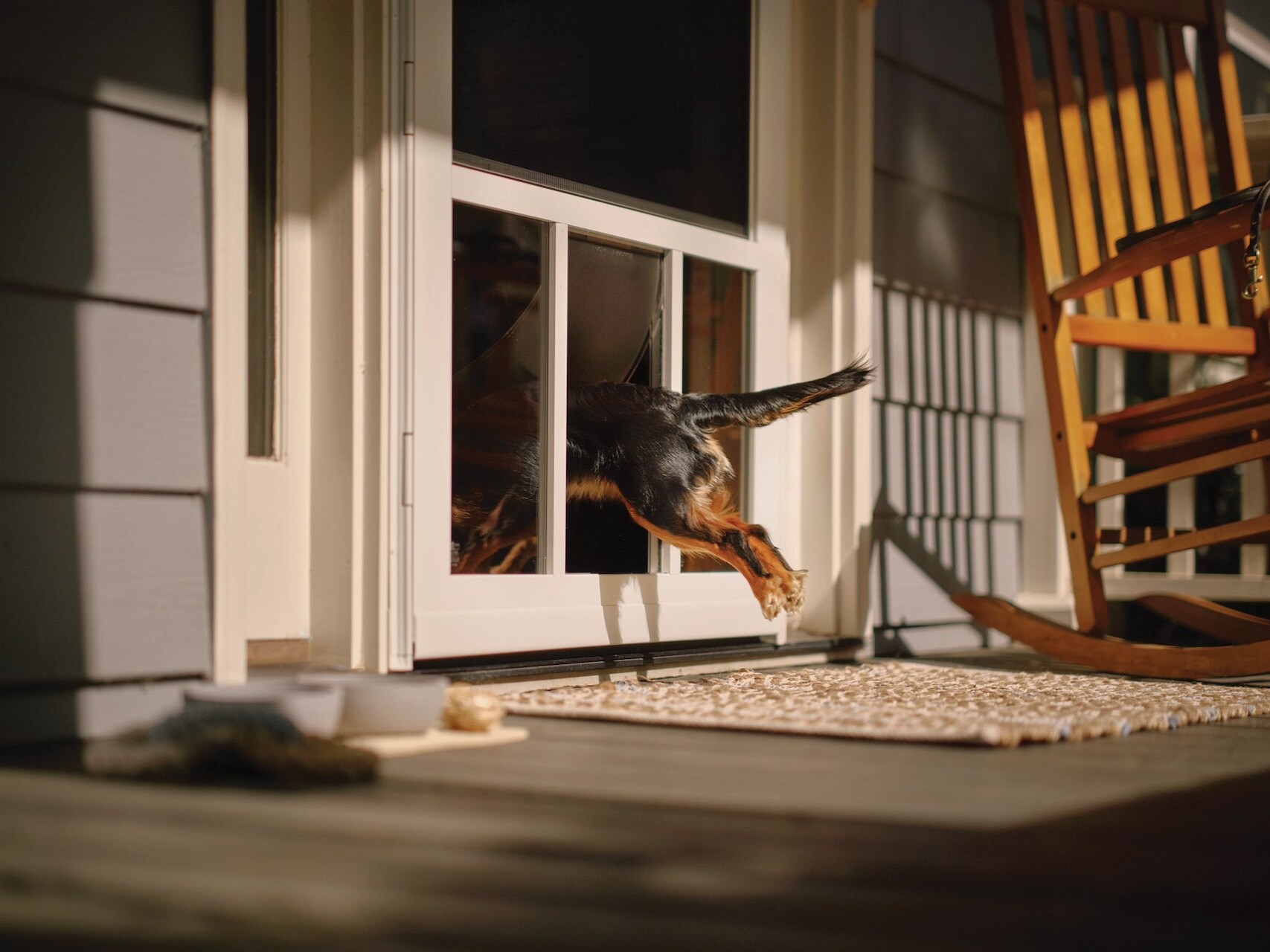 Best Storm Doors for Dogs: 4 Pet-Friendly Options from Larson