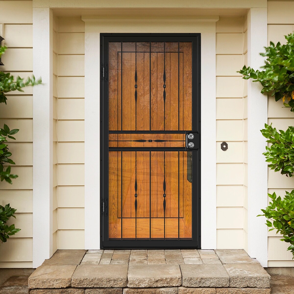 Larson Geneva Security Door | Contemporary Steel Security with Style
